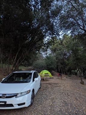 2011 Honda Civic EX-L