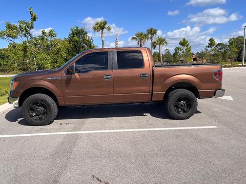 Brown 2012 Ford F-150 XLT