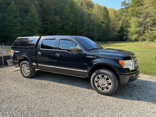 2010 Ford F-150 Platinum