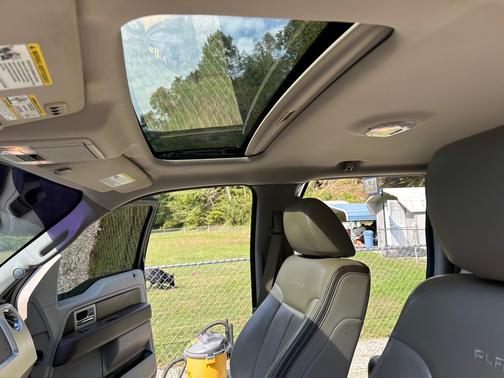 2010 Ford F-150 Platinum