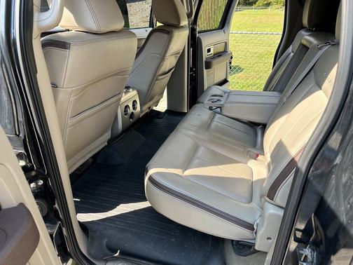2010 Ford F-150 Platinum