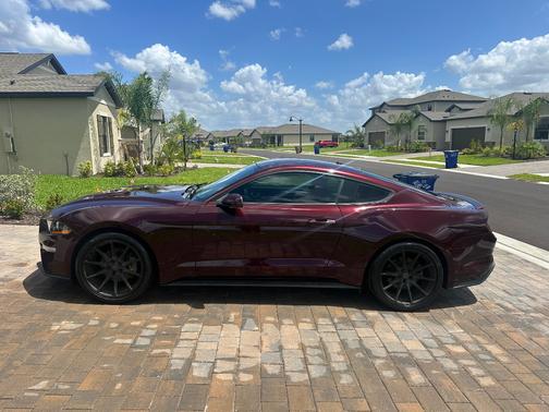 Red 2018 Ford Mustang EcoBoost