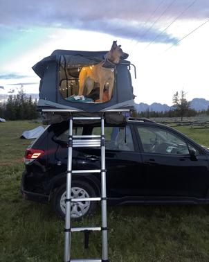 2019 Subaru Forester Base