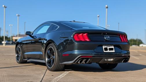 Green 2019 Ford Mustang Bullitt