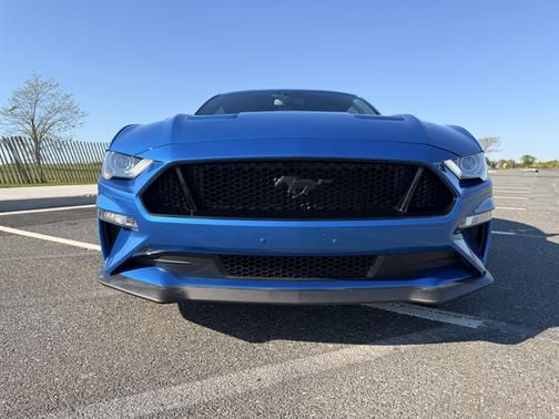 Blue 2019 Ford Mustang GT Premium