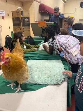 Red 2000 Dodge Ram 1500 Base