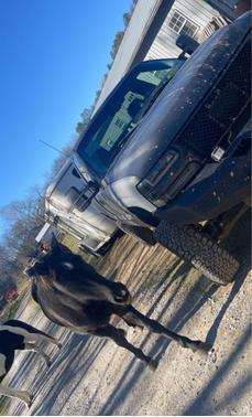 2001 Chevrolet Silverado 2500 LS H/D