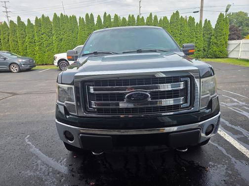 Green 2014 Ford F-150 STX