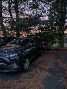 Gray 2022 Toyota RAV4 Hybrid LE