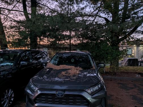 Gray 2022 Toyota RAV4 Hybrid LE