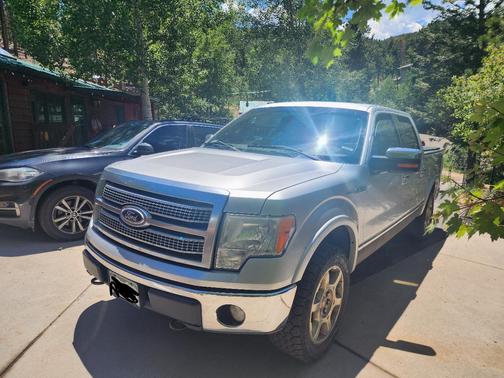 Silver 2010 Ford F-150 Platinum