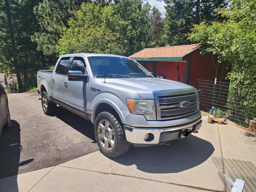 Silver 2010 Ford F-150 Platinum