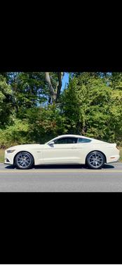 2015 Ford Mustang GT 50 Years Limited Edition