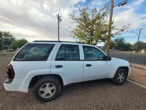 White 2005 Chevrolet Trailblazer LS