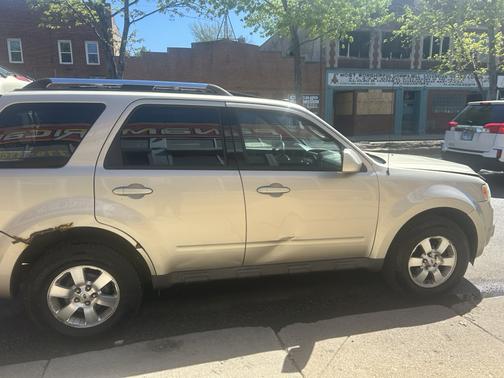 Beige 2010 Ford Escape Limited