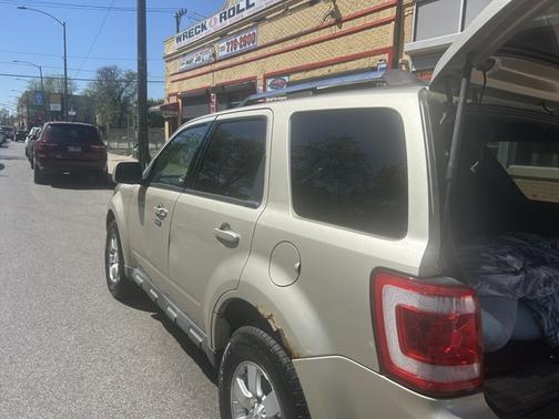 Beige 2010 Ford Escape Limited