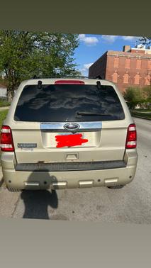 Beige 2010 Ford Escape Limited