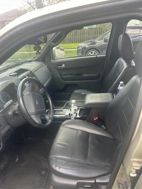 Beige 2010 Ford Escape Limited