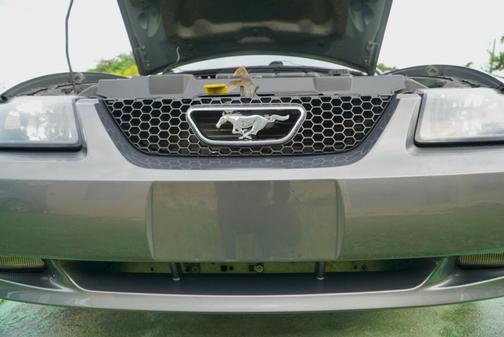 2004 Ford Mustang GT