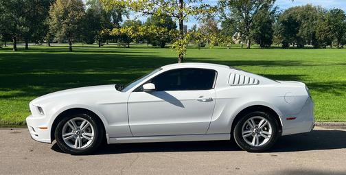 White 2014 Ford Mustang V6