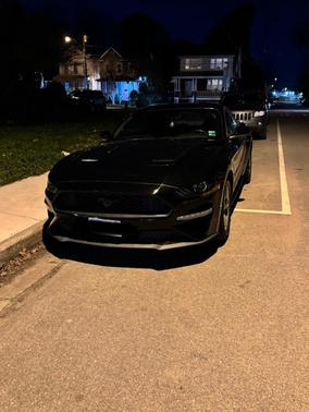 2019 Ford Mustang EcoBoost