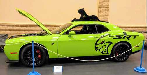 2015 Dodge Challenger SRT Hellcat