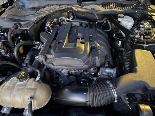 Black 2019 Ford Mustang EcoBoost Premium