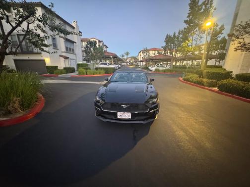 Black 2019 Ford Mustang EcoBoost Premium