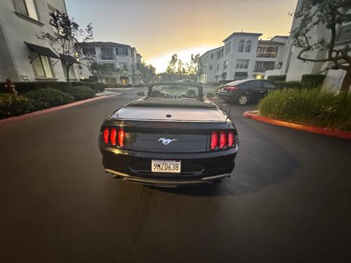 Black 2019 Ford Mustang EcoBoost Premium