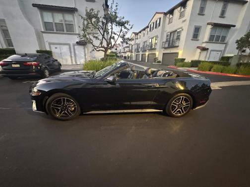 Black 2019 Ford Mustang EcoBoost Premium