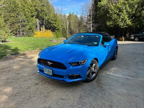 Blue 2017 Ford Mustang V6