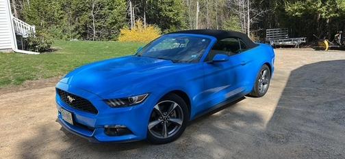 Blue 2017 Ford Mustang V6