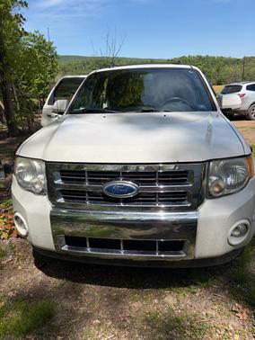 White 2011 Ford Escape Limited