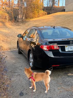 2012 Acura TSX Technology