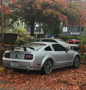 Silver 2006 Ford Mustang GT