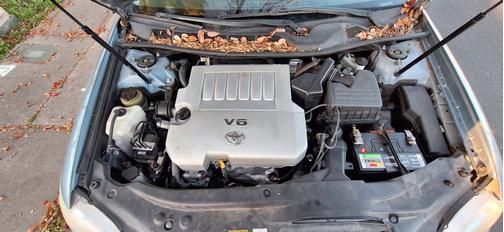 Blue 2005 Toyota Avalon XLS