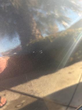 2006 Honda Accord LX