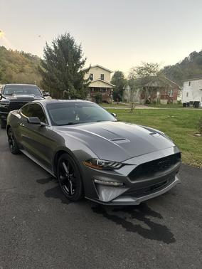 Gray 2022 Ford Mustang EcoBoost