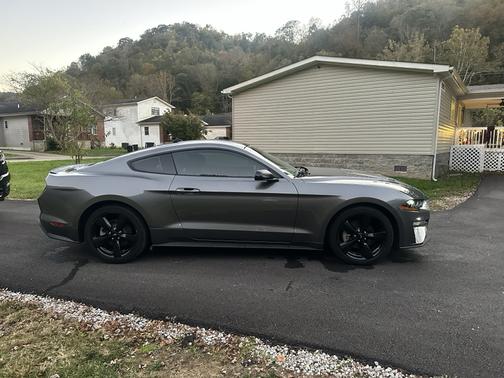 Gray 2022 Ford Mustang EcoBoost