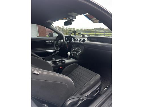 2017 Ford Mustang EcoBoost