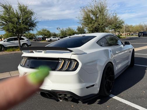 White 2020 Ford Mustang GT