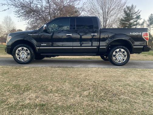 2014 Ford F-150 Platinum