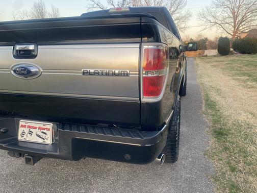 2014 Ford F-150 Platinum