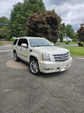 White 2014 Cadillac Escalade Platinum Edition