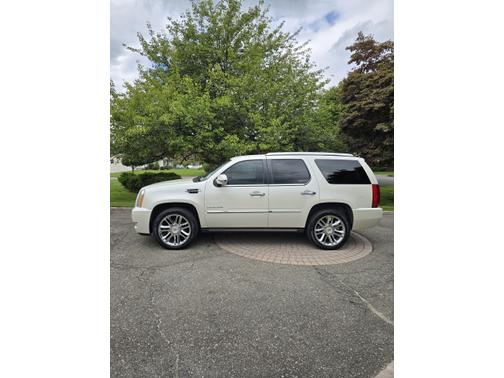 White 2014 Cadillac Escalade Platinum Edition