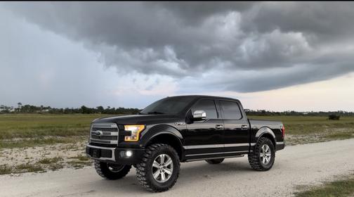 Black 2015 Ford F-150 Platinum