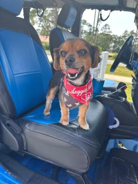 Blue 2021 Jeep Wrangler Unlimited Sport S