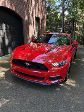 Red 2015 Ford Mustang V6