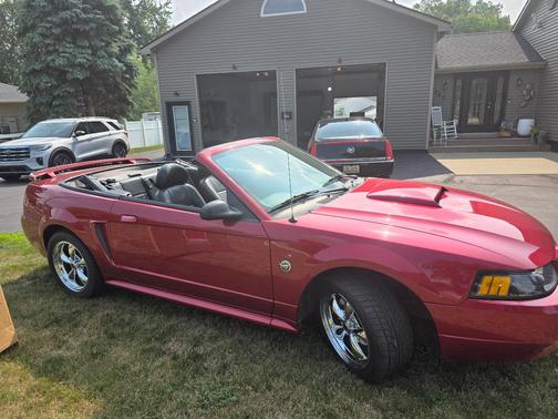 Red 2004 Ford Mustang Base