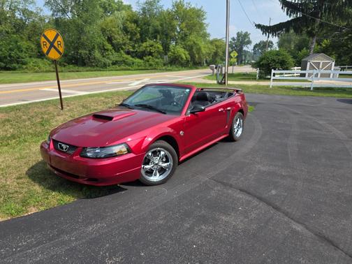 Red 2004 Ford Mustang Base